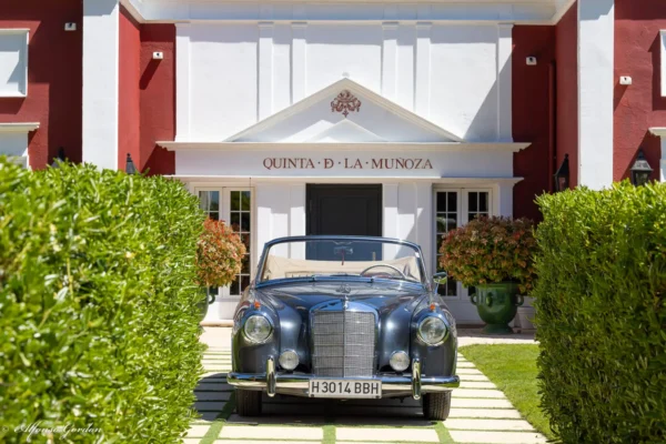 Mercedes-Benz 220 SE Cabriolet "Pontón"