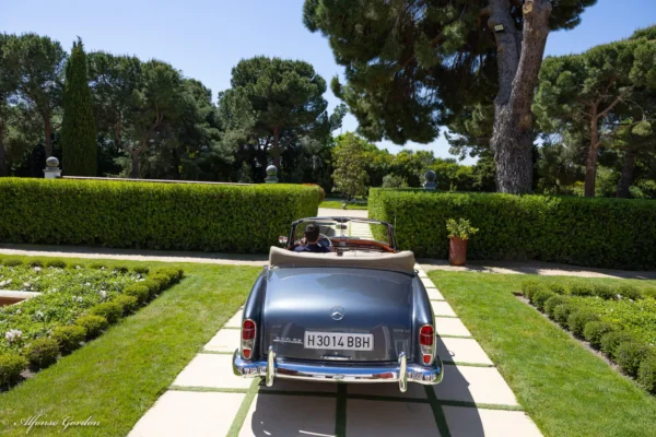 Mercedes-Benz 220 SE Cabriolet "Pontón"