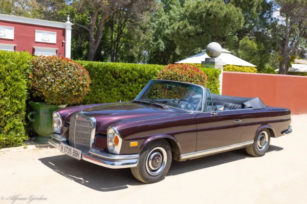 Mercedes-Benz 250 SE Cabrio