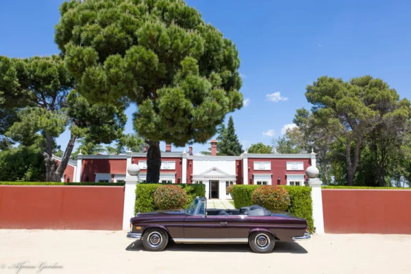 Mercedes-Benz 250 SE Cabrio