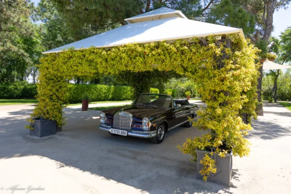 Mercedes-Benz 250 SE Cabrio