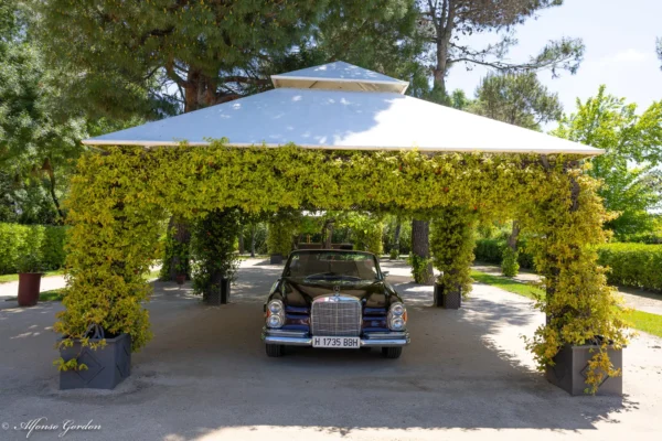 Mercedes-Benz 250 SE Cabrio